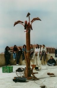 PALMERA MEDITERRANEA. IES JORGE SANTALLANA. AVILA. 1999